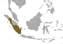 Carte d'Asie du Sud-Est avec une zone vert kaki sur Sumatra