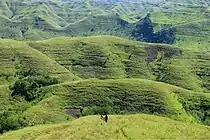 Paysage typique autour du Parc national de Laiwangi Wanggameti