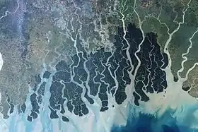 Image illustrative de l’article Sundarbans