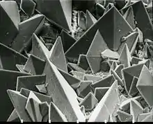 Cristaux de weddellite (oxalate de calcium dihydraté) sur la surface d'un calcul rénal. Image de microscopie électronique à balayage (MEB), surface dans la réalité = 0,35 × 0,45 mm.