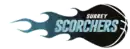 Logo du Surrey Scorchers