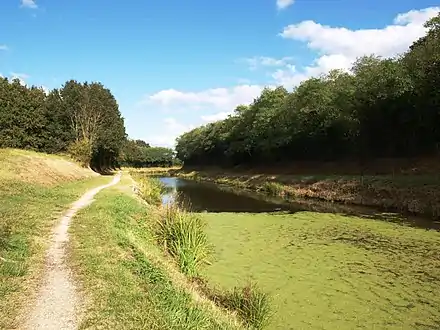 Le canal d'Orléans à Sury-aux-Bois.