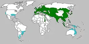 Aire de répartition du Sanglier d'Eurasie