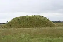 Un tertre de forme allongée recouvert d'herbe.