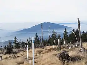 Vue du sommet du Zwercheck.