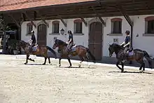 Plusieurs cavaliers au galop.