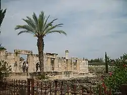 Ruines de la synagogue