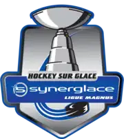 Description de l'image Synerglace Ligue Magnus 2019.png.