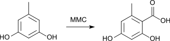 Synthese de l'acide orselique par carboxylation de l'orcinol