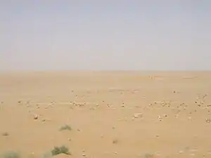 Désert syrien entre Deir ez-Zor et Tadmor (Palmyre) en juin 2010.