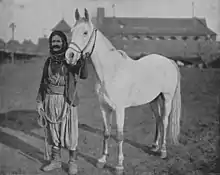 photo noir et blanc d'un homme en turban tenant un cheval.