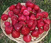 Fruits du jamalac dans un panier.