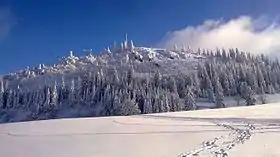 Versant nord de la Tête de Ran, en hiver.