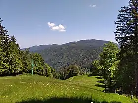 Vue vers le massif du Brézouard depuis la tête des Chats.