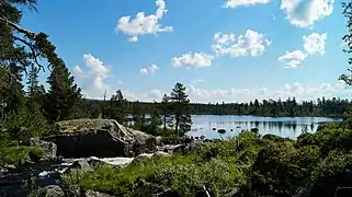 Herbes et forêt près des rapides de la Storån avant son entrée dans un petit lac.