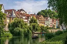 Une rivière bordée de saules pleureurs, avec derrière de grandes maisons anciennes.