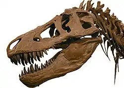 Image illustrative de l’article Jurassic Park (roman)