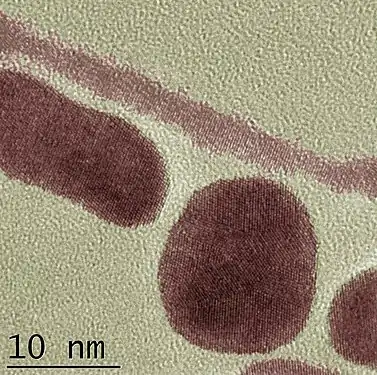 Image de nanoparticules et de nanotubes d'or en microscopie électronique en transmission à haute résolution.