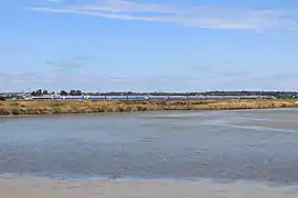 Rame TGV Atlantique dans les marais salants du Pouliguen.