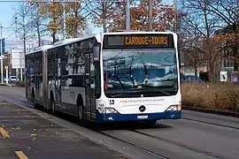 Autobus