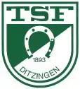 Logo du TSF Ditzingen