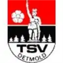 Logo du TSV Detmold
