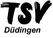 Logo du TS Volley Düdingen