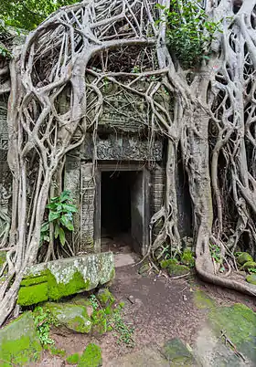 Image illustrative de l’article Ta Prohm