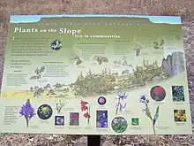 Panneau éducatif intitulé « Plants on the slope live in communities ».