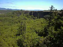 Dense forêt au pied d'un plateau.