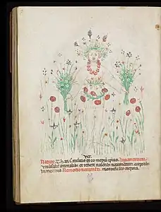 Liège, ms. 1041