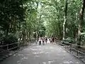 Ce chemin traverse le Tadasu no Mori (la « forêt où sont révélés les mensonges »).