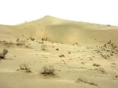 Le désert du Taklamakan.