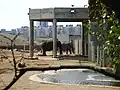 La maison des éléphants