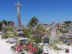 Photographie du cimetière marin de Talmont entouré d'un petit mur de pierres et parsemé de roses trémières.