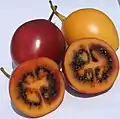 Tamarillo (Solanum betaceum).