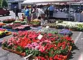 Marché de  Tammelantori.