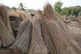 Bottes de paille (mil?) à Tanéka-Béri. Les épis ont été battus ou coupés auparavant. Bénin, 2017