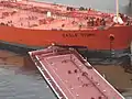 Marée noire induite par la collision du pétrolier Eagle Otome et d'une barge (janvier 2010)