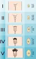 Échelle de Tanner - hommes. Taille moyenne des testicules [cm] avec leur capacité en mL.