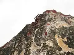 Description de l'image Tarantula at the El Morro ruins in Old San Juan Puerto Rico.jpg.