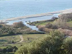 L'embouchure du Taravo depuis la Tour de Micalona