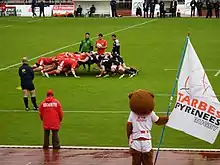 Deux équipes de rugby disputent une mêlée sur un terrain. En avant-plan, une mascotte représentant un ours avec un drapeau à la main regarde les joueurs.