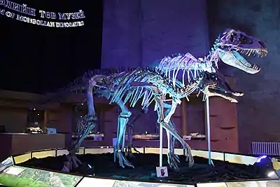 Deux squelettes de dinosaures dans un musée. On distingue des panneaux d'informations en cyrillique.