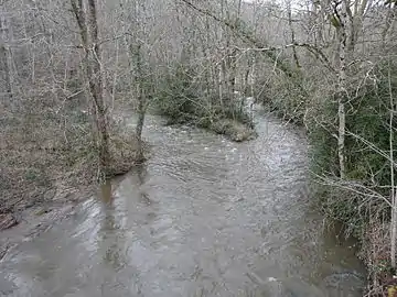 La Tardoire au pont de la RD 699 en limite d'Écuras et de Busserolles.