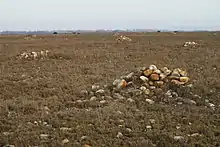 Photographie d'un tas de cailloux d'une hauteur de quelques décimètres