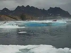 L'embouchure du fjord, au niveau de l'île d'Ammassalik.