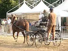 Dans une carrière entourée de barrières métalliques, un attelage présenté de dos s'éloigne au trot tiré par un cheval alezan.