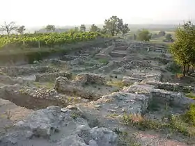 Les ruines de Tauresium