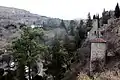 Vue du jardin botanique en hiver